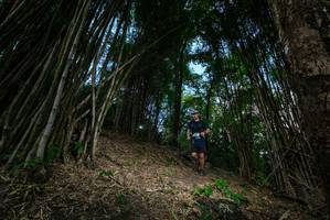 BIB: 
                            <button type="button" onclick="openModal(19395344)" class="btn btn-primary btn-sm float-right btn-popup" data-toggle="modal" data-target=".modal-high-quality">
                        <i class="fas fa-shopping-cart"></i> Add to Cart
                    </button>
                                            <button type="button" onclick="isThisMe(19395344, true)" class="btn btn-success btn-sm float-right btn-popup btn-isme hidden" data-toggle="tooltip" data-placement="bottom" title="นี่คือรูปของคุณใช่ไหม คลิกที่นี่เพื่อเอาเข้าอัลบั้ม">
                        <i class="fas fa-plus"></i> Add to album
                    </button>
                    <button type="button" onclick="isThisMe(19395344, false)" class="btn btn-warning btn-sm float-right btn-popup btn-isnotme hidden">
                        <i class="fas fa-ban"></i> Remove from album
                    </button>